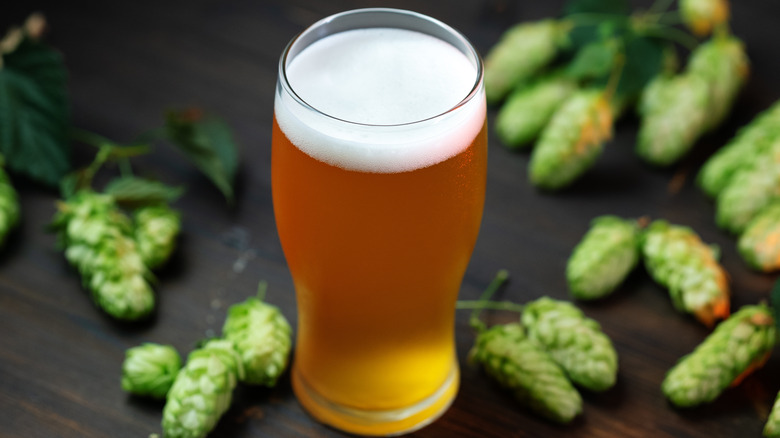 An IPA surrounded by hops
