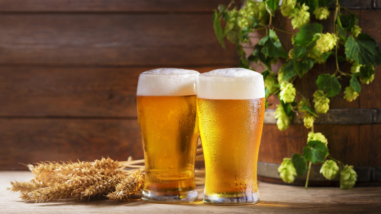 Two beers next to a pile of wheat