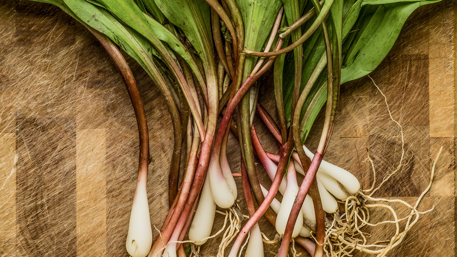 The Best Culinary Use For Leftover Pickled Ramp Brine Tasting Table