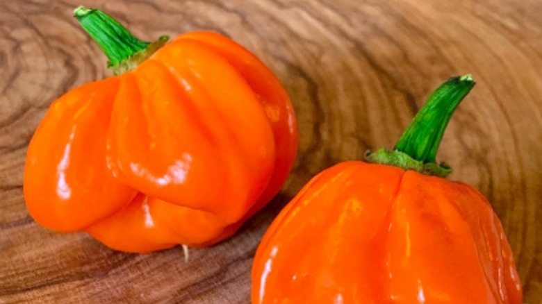 Broght orange goat peppers on wooden background