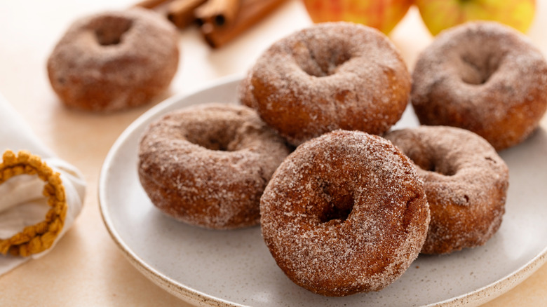 Cider doughnuts with cinnamon-sugar