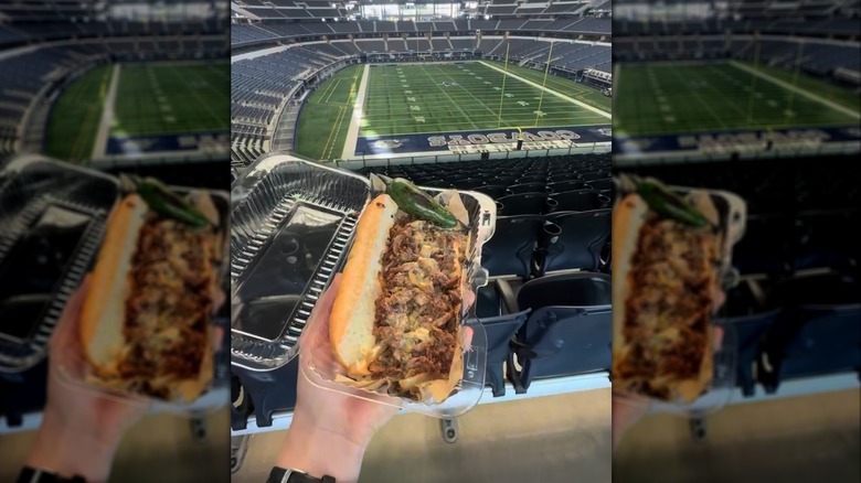 cheesesteak and fries on plate
