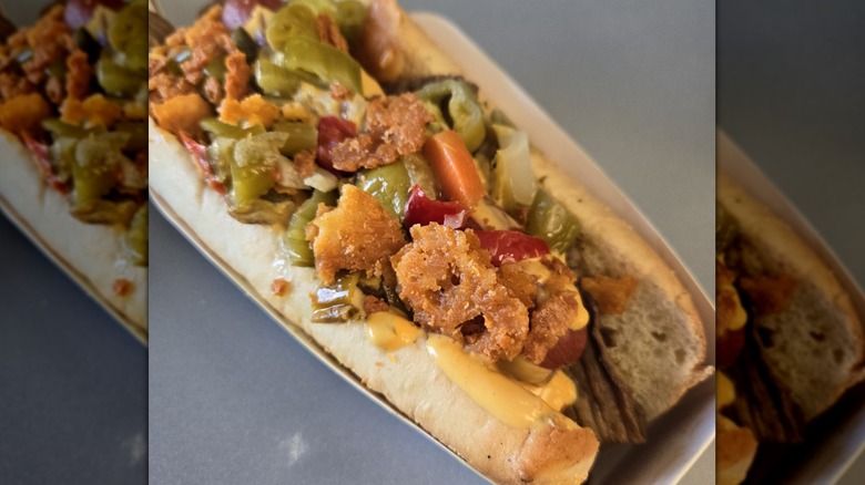 closeup odunze hot dog