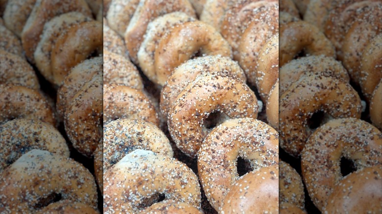 everything bagels from Rolen Bagels