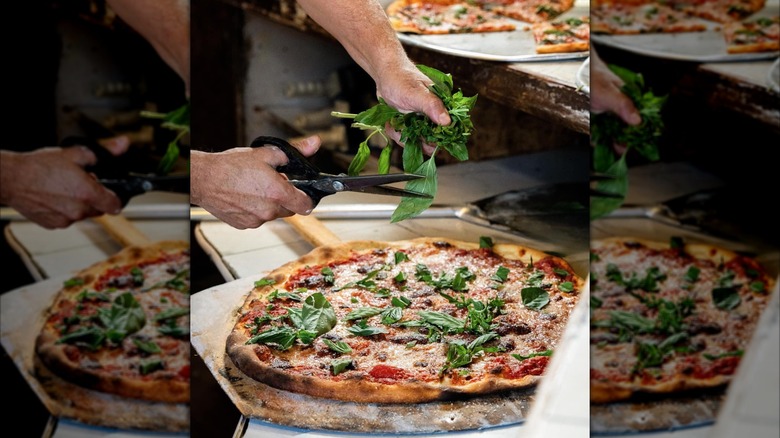 Person using scissors to cut basil onto a whole New York-style pizza