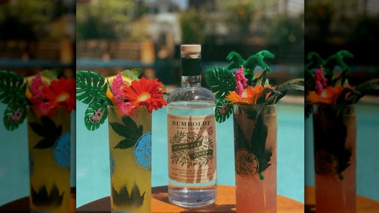 Poolside tropical drinks