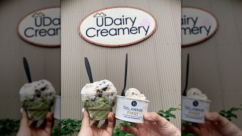 Two hands holding bowls of ice cream outside UDairy Creamery