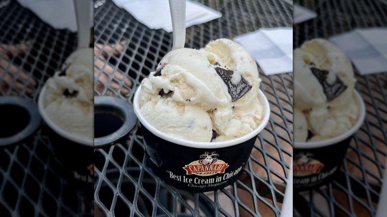 Bowl of ice cream with chunks of chocolate on picnic table