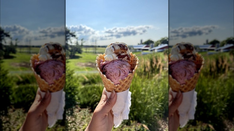Hand holding cone with two scoops of ice cream in front of field with barns