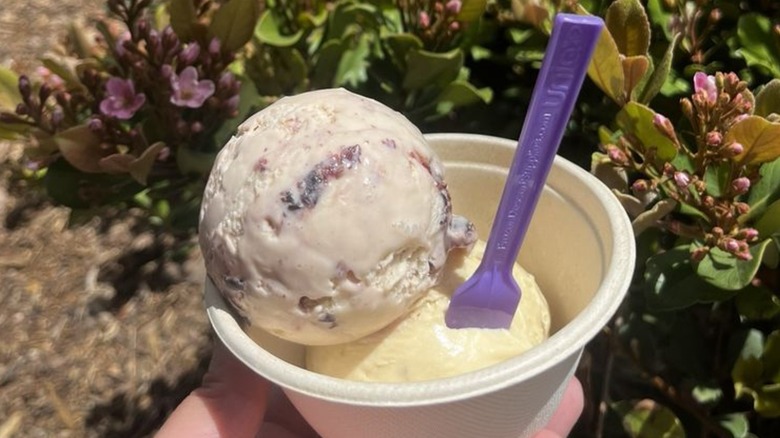 Hand holding two scoops of ice cream in bowl with spoon