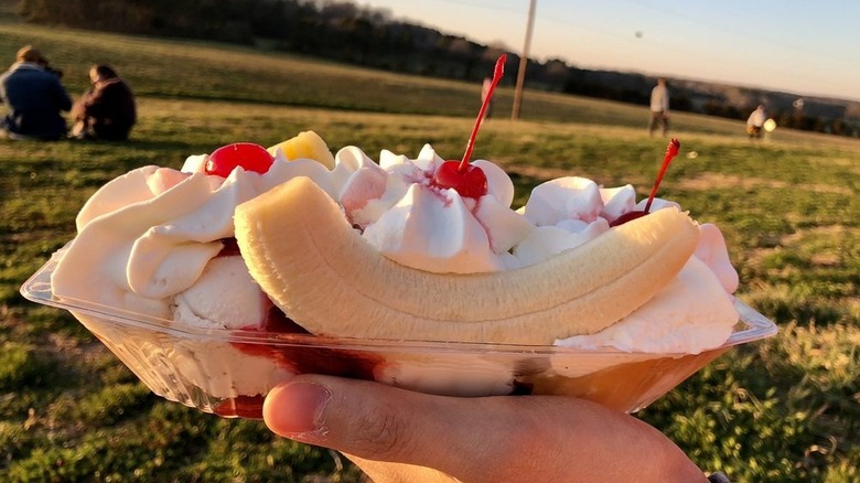 Hand holding banana split with sunset bathing fields