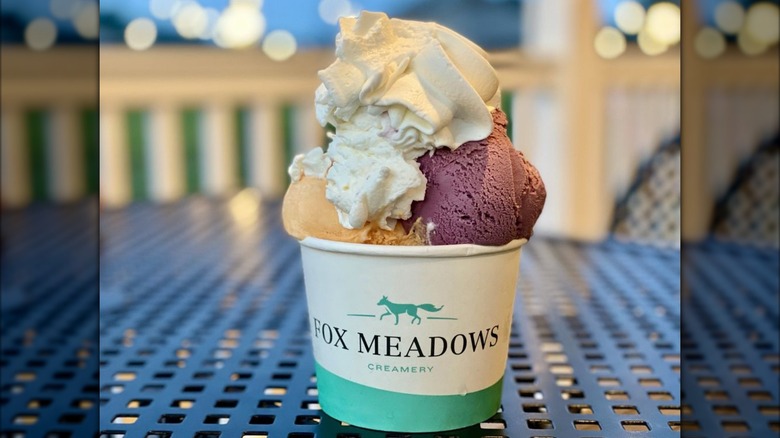 Large cup of ice cream topped with whipped cream on picnic table