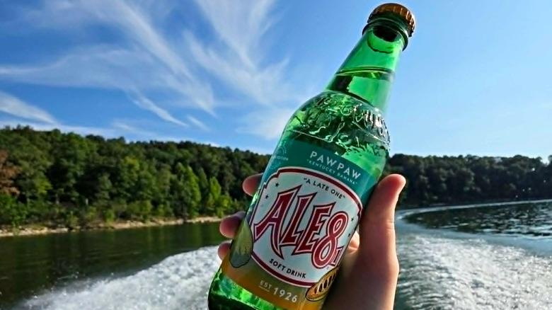 Hand holding a Pawpaw Ale-8-One with a scenic view