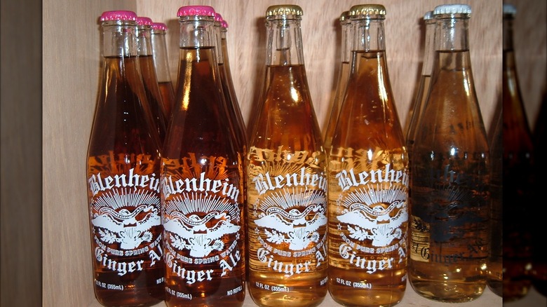 Bottles of Blenheim Ginger Ale