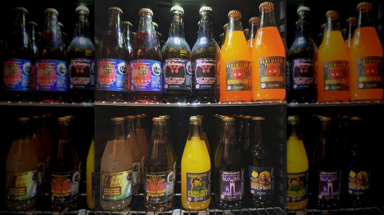 Collection of Cryptid Club bottles in fridge