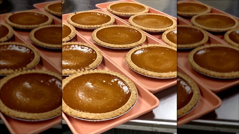 Several pumpkin pies on long pink trays