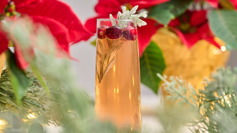 poinsettia cocktail on a table