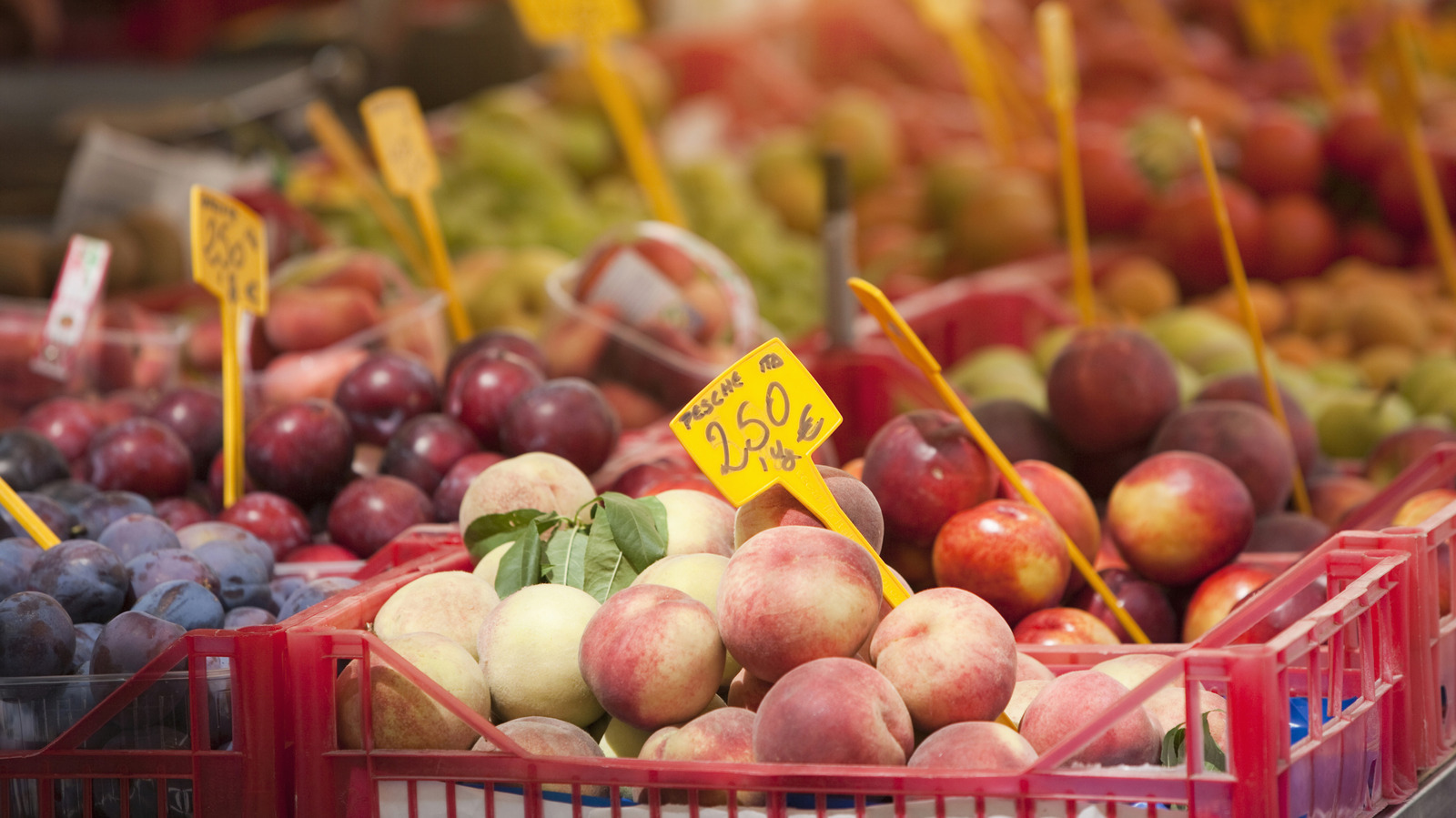 The Best Seasonal Fruits To Buy Fresh This Month: August Edition