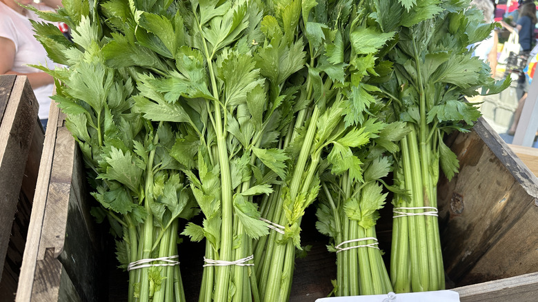 A close-up of wooden create of celery for sale at a farmer's market