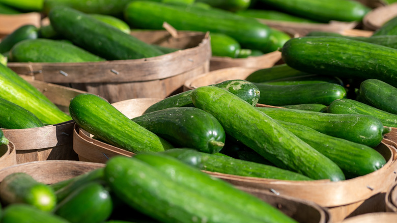 Baskets of fresh cucumbers at a farmer's market