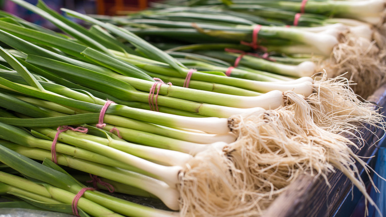 Bundles of fresh green onions for sale at a store