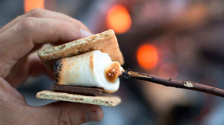 hand holding a smores treat on a stick