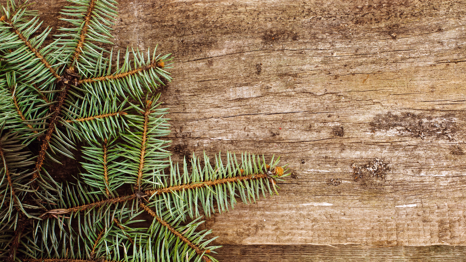 The Best Spirit To Pair With Christmas Tree Needles