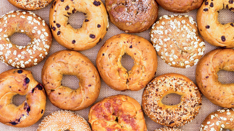 A variety of bagels with mix-ins and toppings