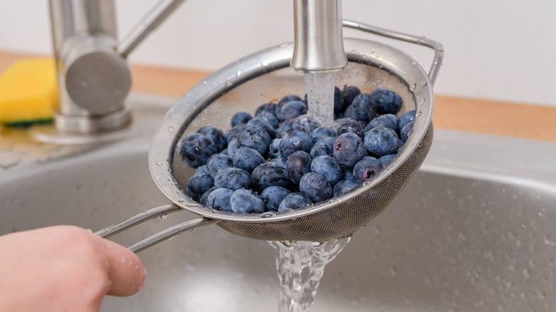 Washing blueberries in colander