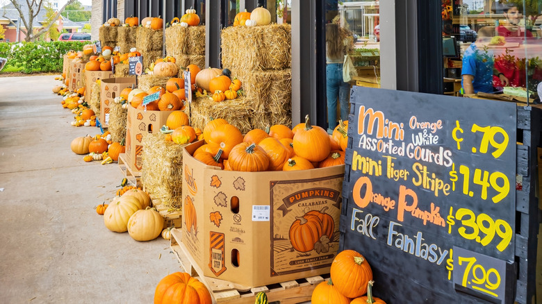 Trader Joe's storefront with various pumpkins in bins