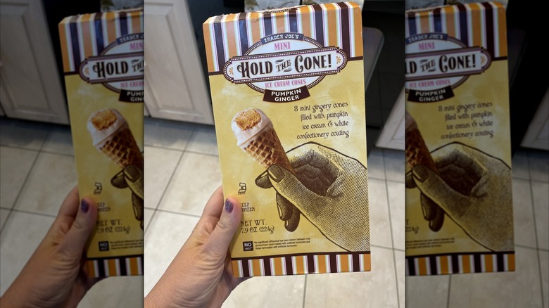 Trader Joe's Mini Hold The Cone! pumpkin ginger flavor box