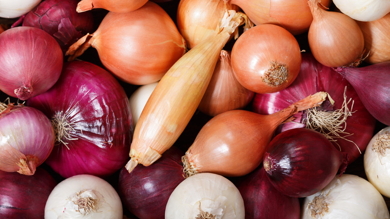 various types of onions