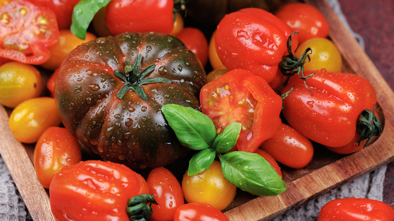 Batch of heirloom tomatoes