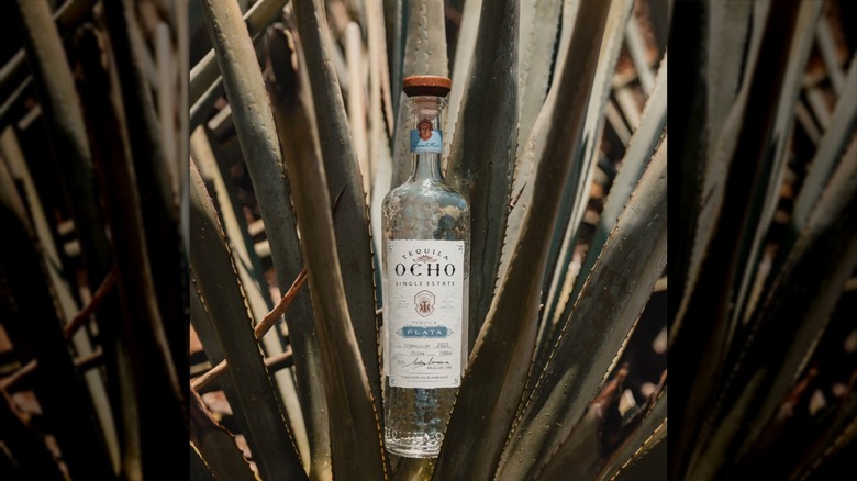 Sam's Club Tequila Ocho bottle