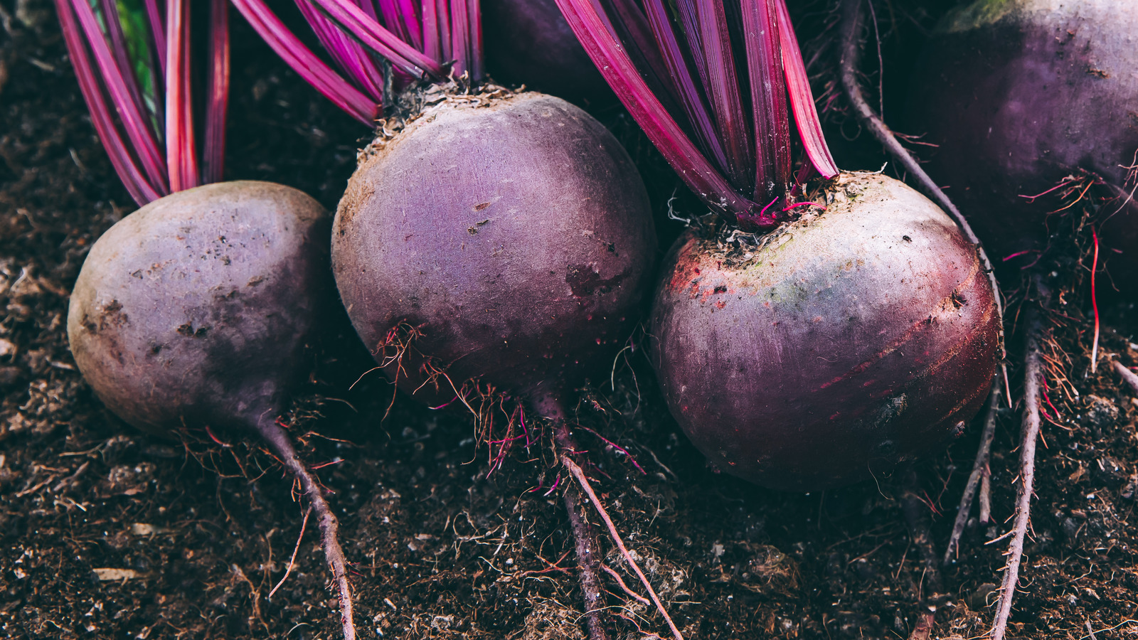 The Best Way To Choose Beets For Roasting
