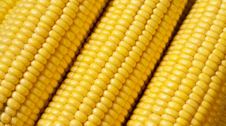 Corn on cob 