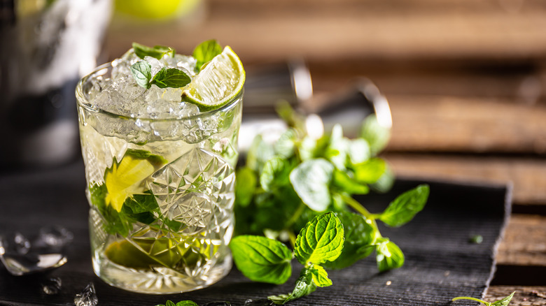 fresh mojito cocktail with mint