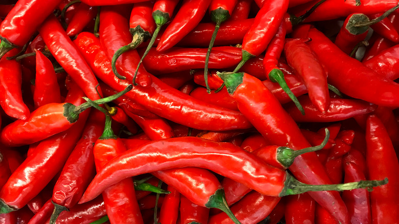 bunch of red hot peppers