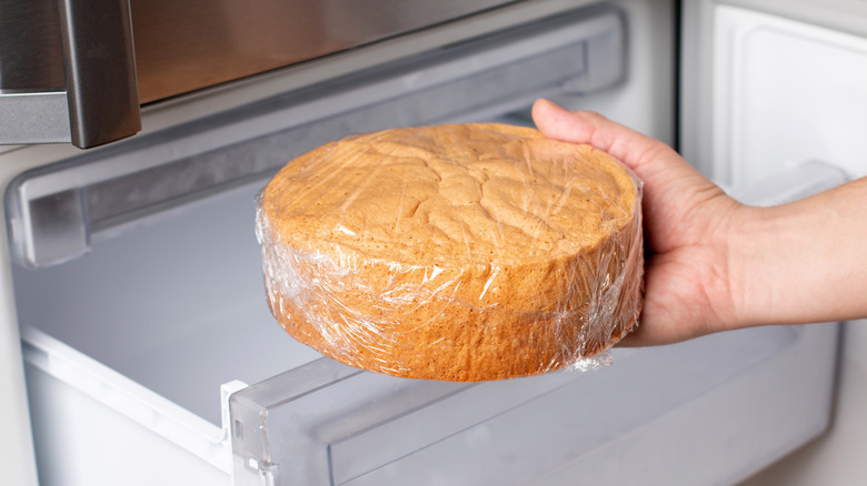 Person holding frozen cake next to freezer