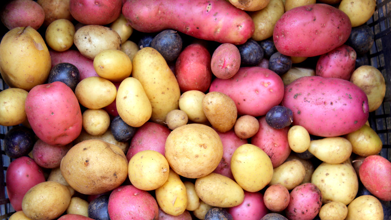 various kinds of potatoes