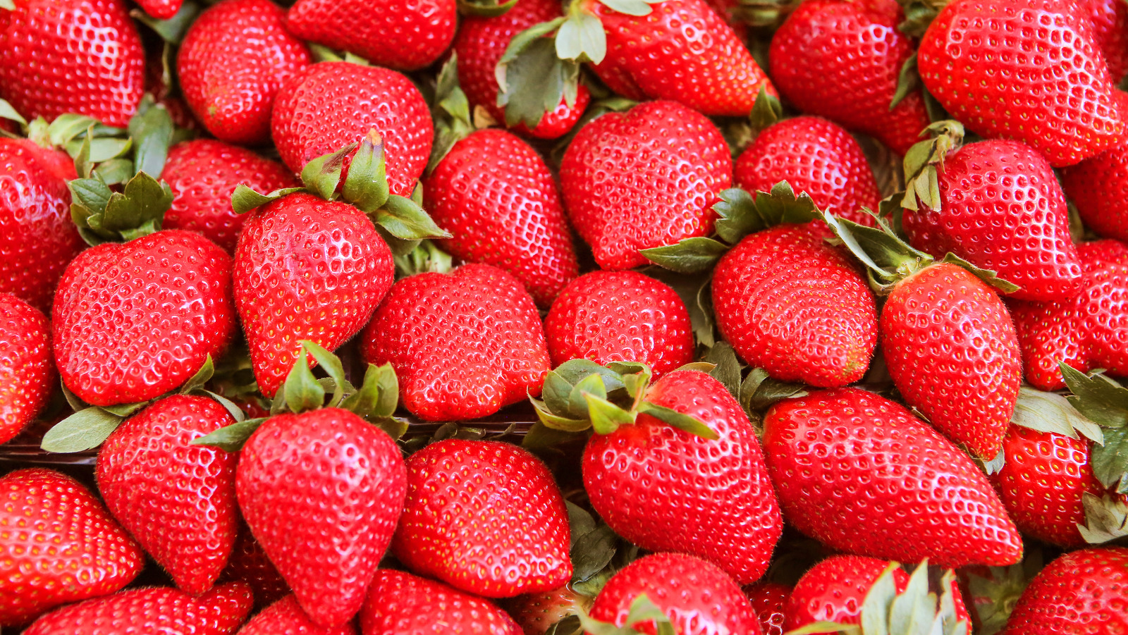 How to Choose, Use, and Store Fresh Strawberries - Foodal