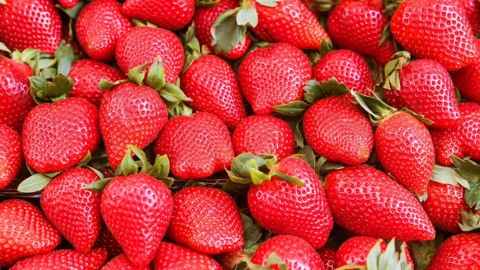 Fresh Strawberries