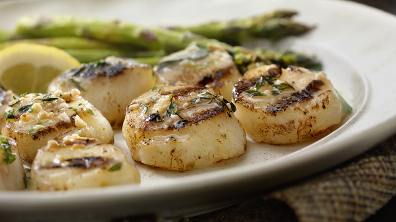 close up plate of grilled scallops
