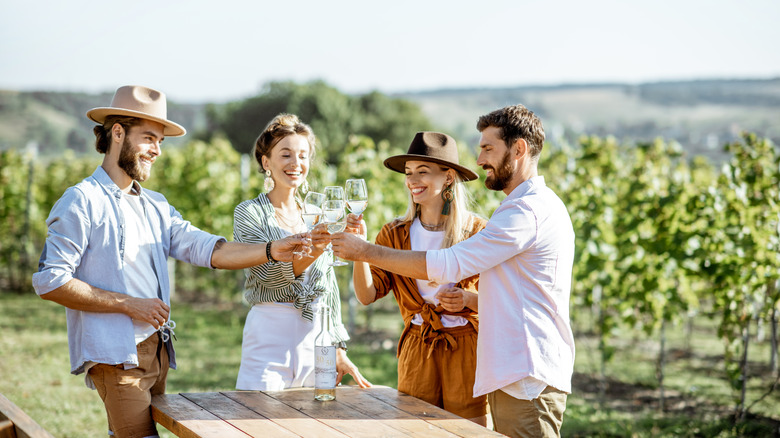friends drinking wine at vineyard
