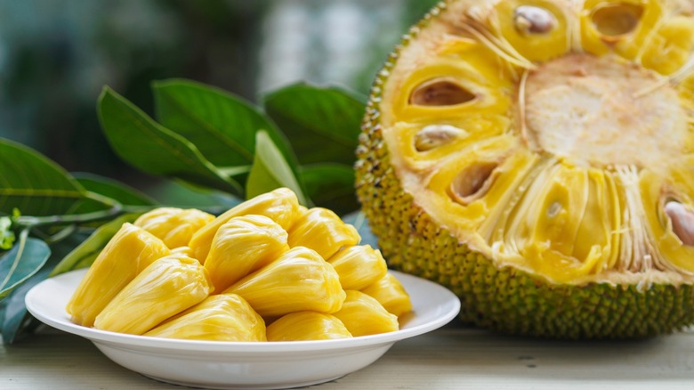 Jackfruit fruit pods and fruit