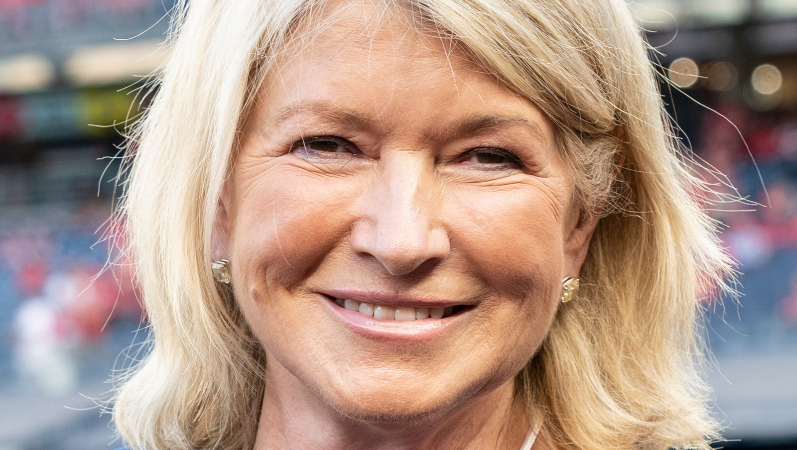 The Bourbon Soaked Treats Martha Stewart Includes In Holiday Cookie Tins