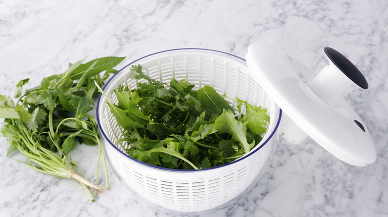 Leafy herbs next to and inside a salad spinner with the top off