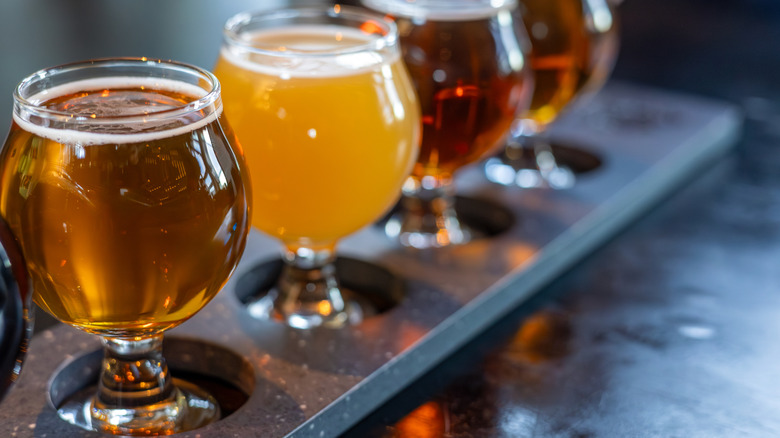 Row of beers in tasting glasses