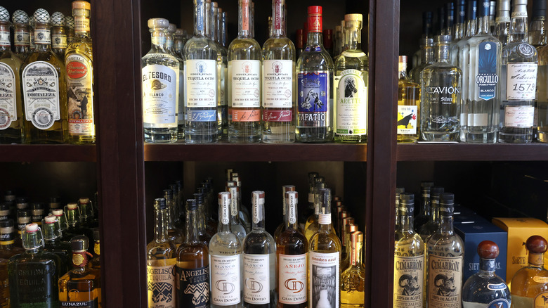 shelves of different tequila brands