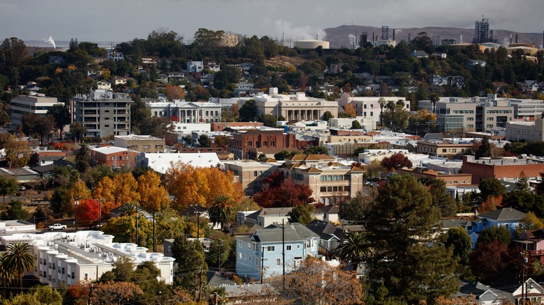 Aerial view of downtown Martinez, CA in the fall